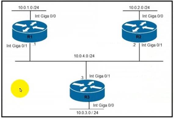 200-301 dumps exhibit