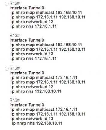 300-410 dumps exhibit