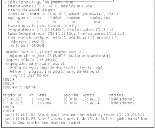 300-410 dumps exhibit