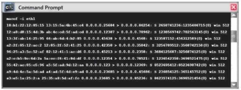 312-50v12 dumps exhibit