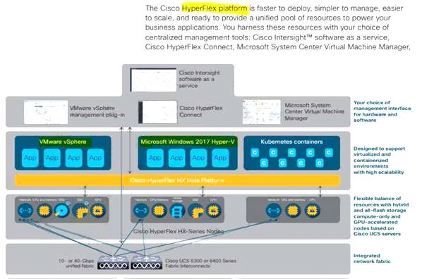 350-601 dumps exhibit