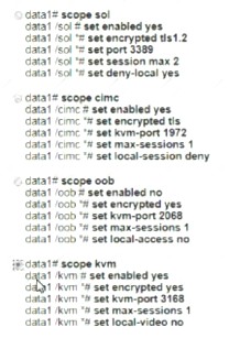 350-601 dumps exhibit