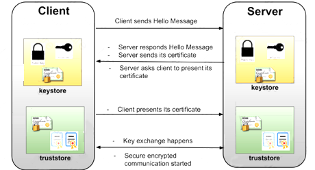 MCIA-Level-1 dumps exhibit