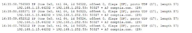 N10-008 dumps exhibit